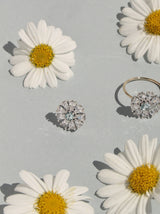 Pendiente CASIOPEA 44