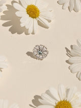 Pendiente CASIOPEA 44