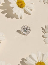 Pendiente CASIOPEA 44