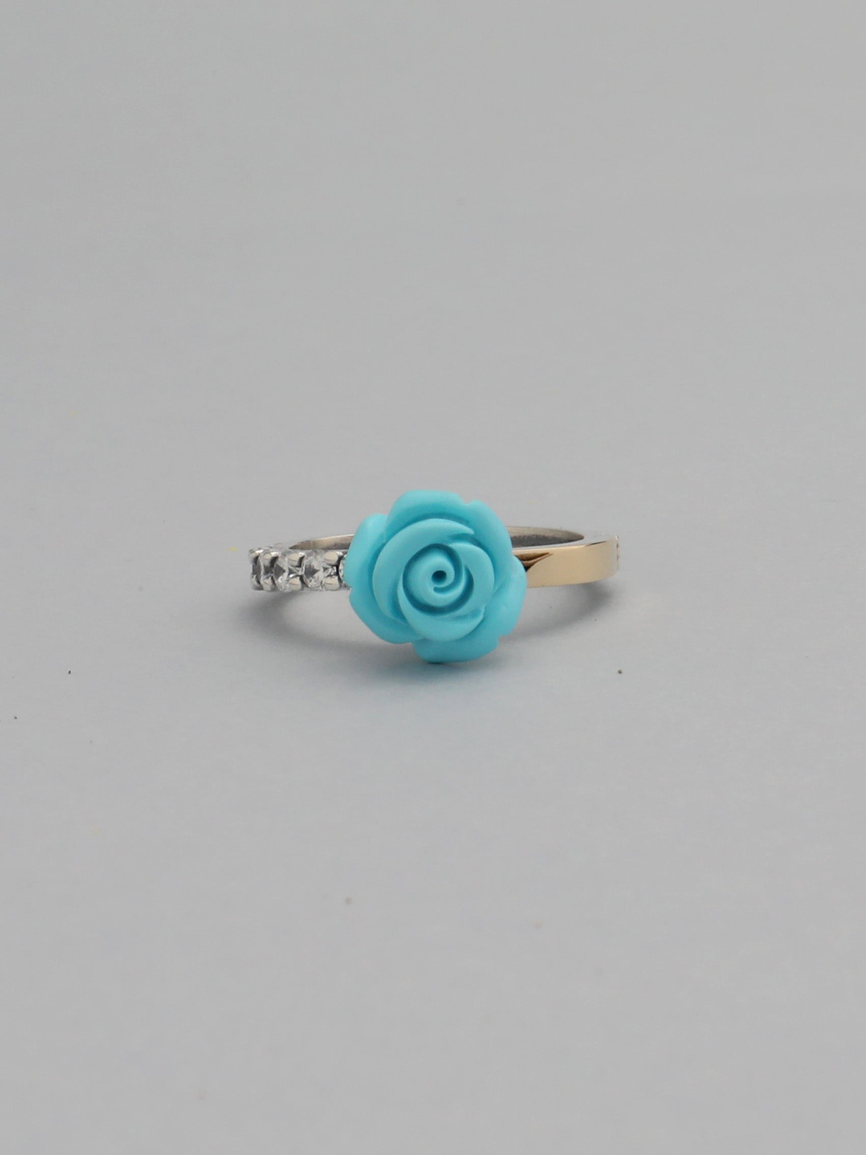 ANILLO FORESTA