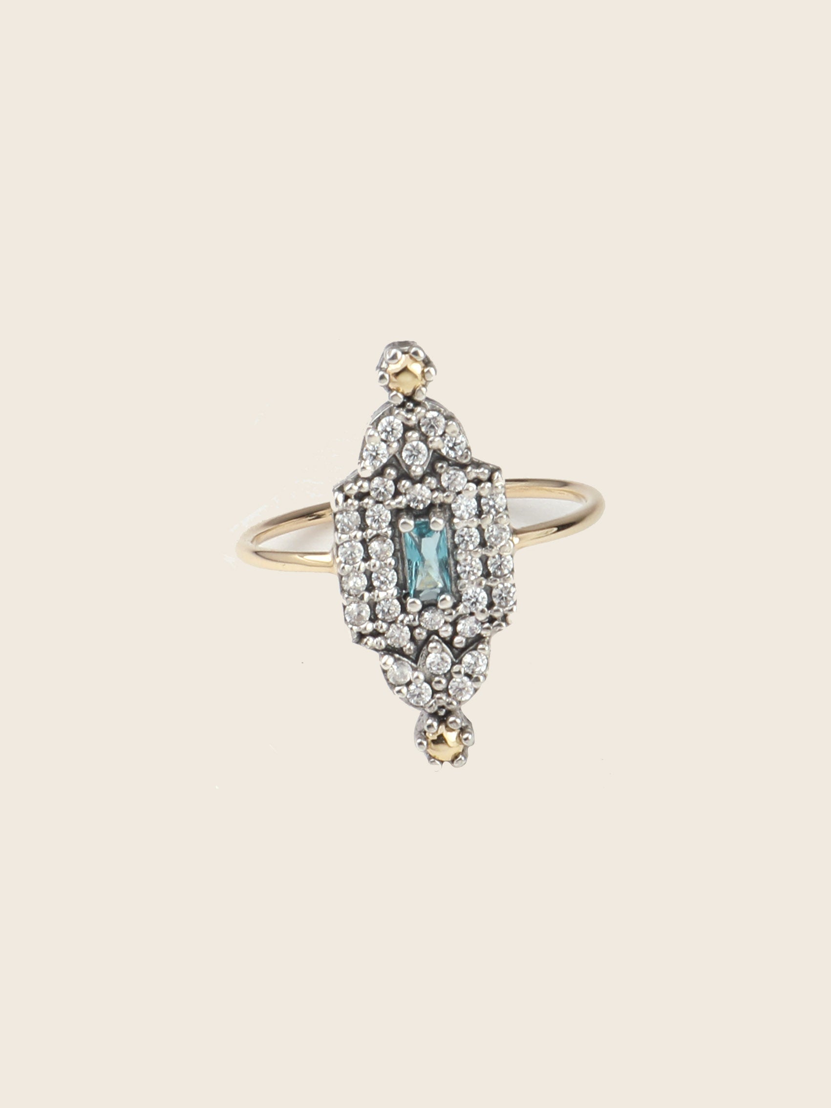 ANILLO VICENS