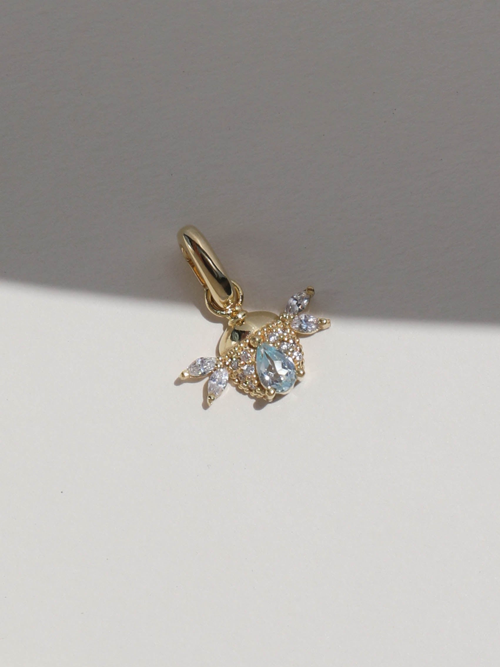 CHARM ESCARABAJO