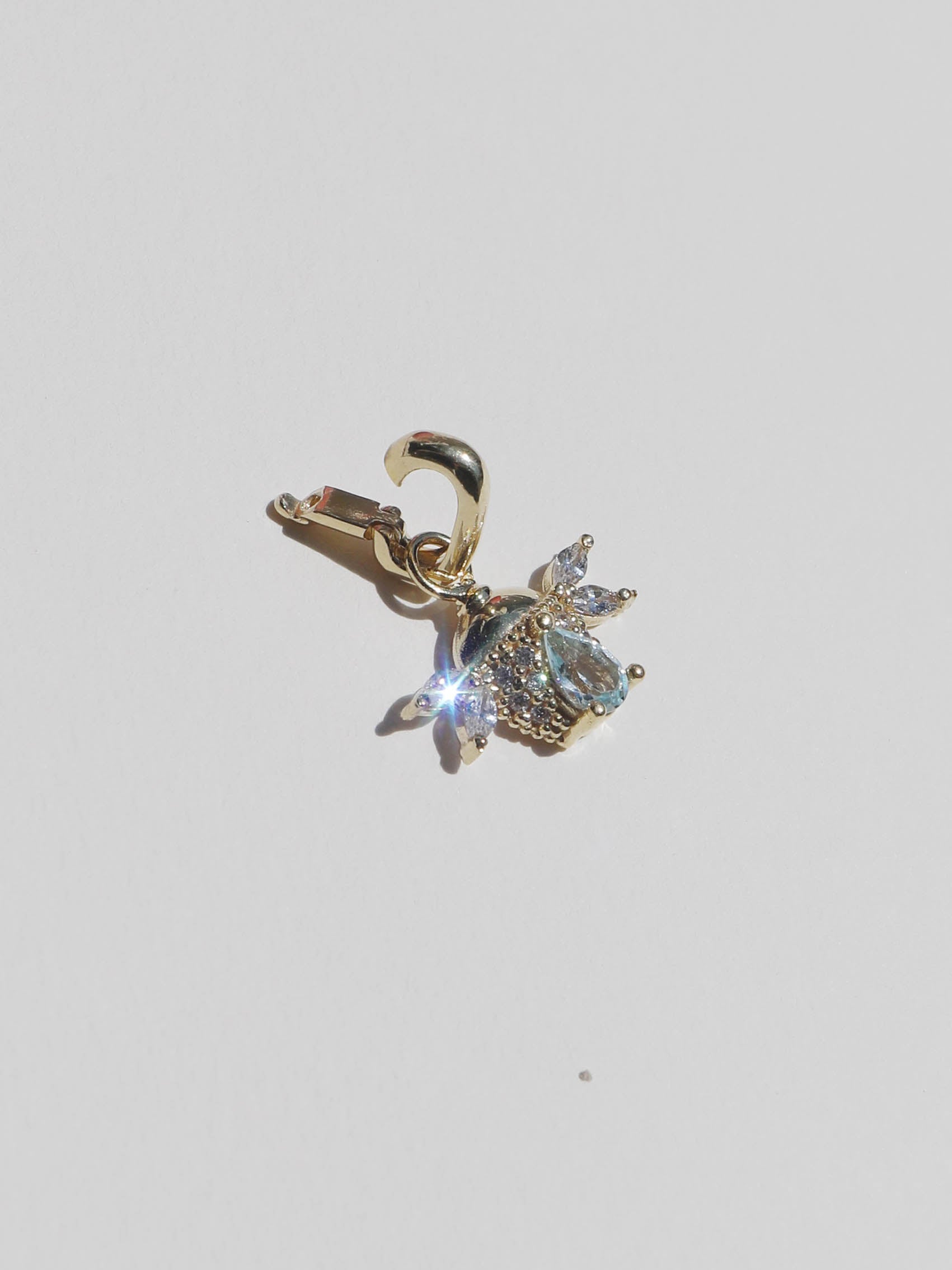 CHARM ESCARABAJO