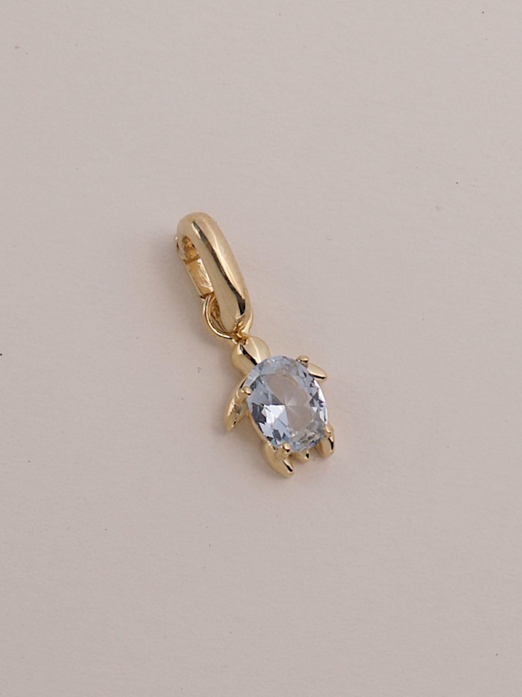 CHARM TORTUGA