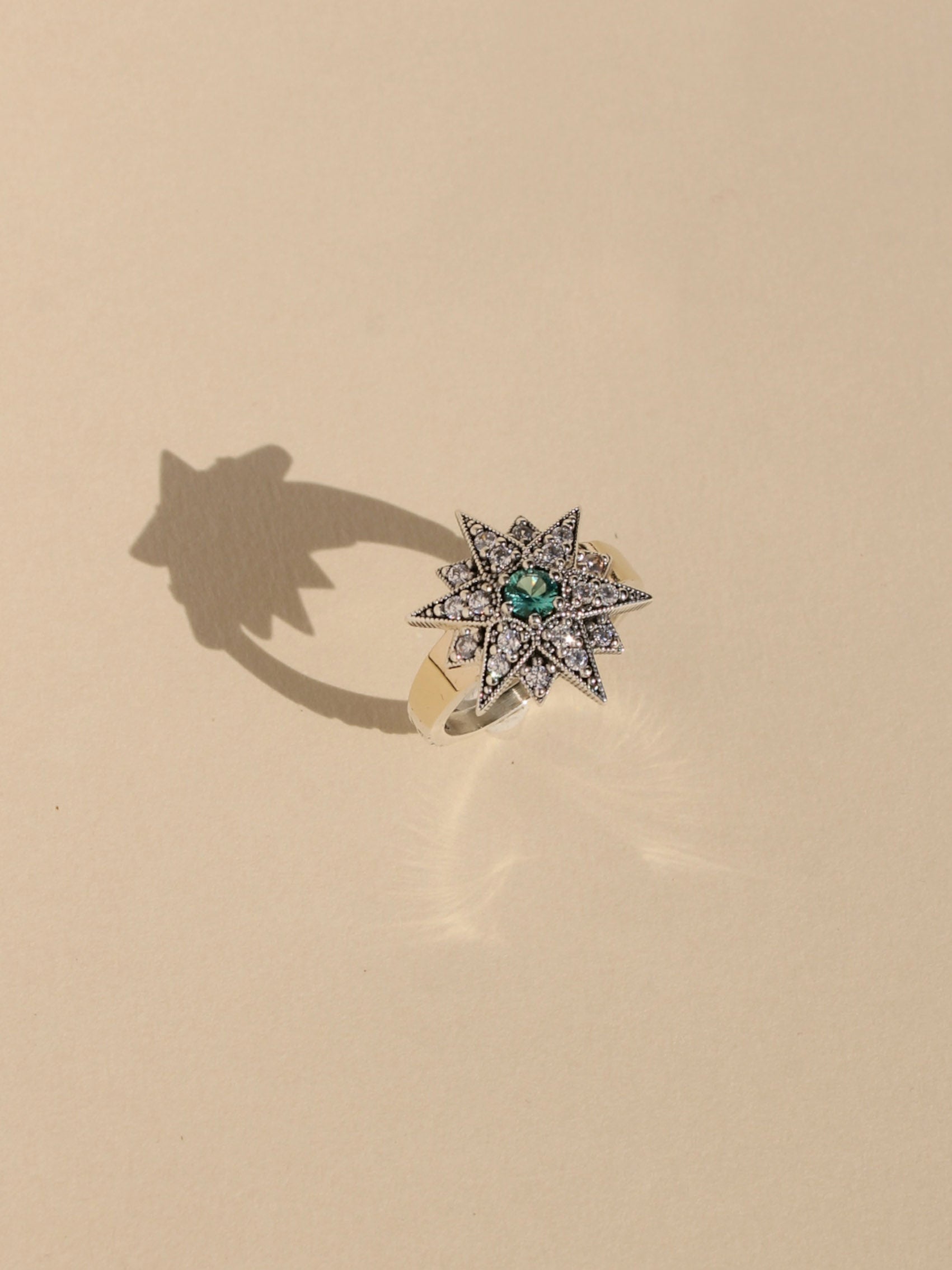 ANILLO MIMAS 14