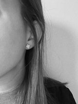 Dormilonas hyades mini