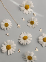 Collar ORLANDO inicial daisy