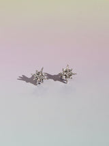 Dormilonas hyades mini