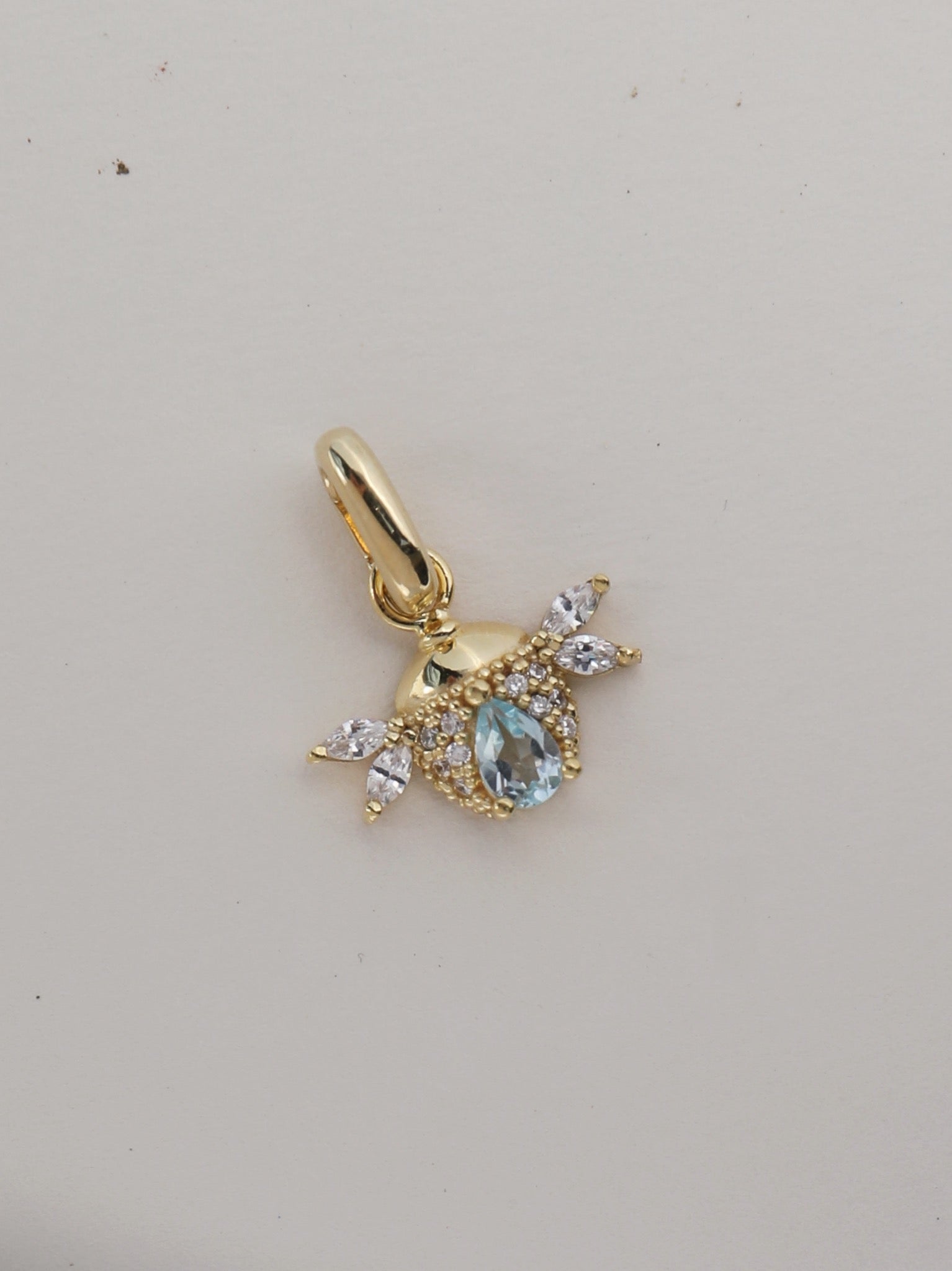 CHARM ESCARABAJO