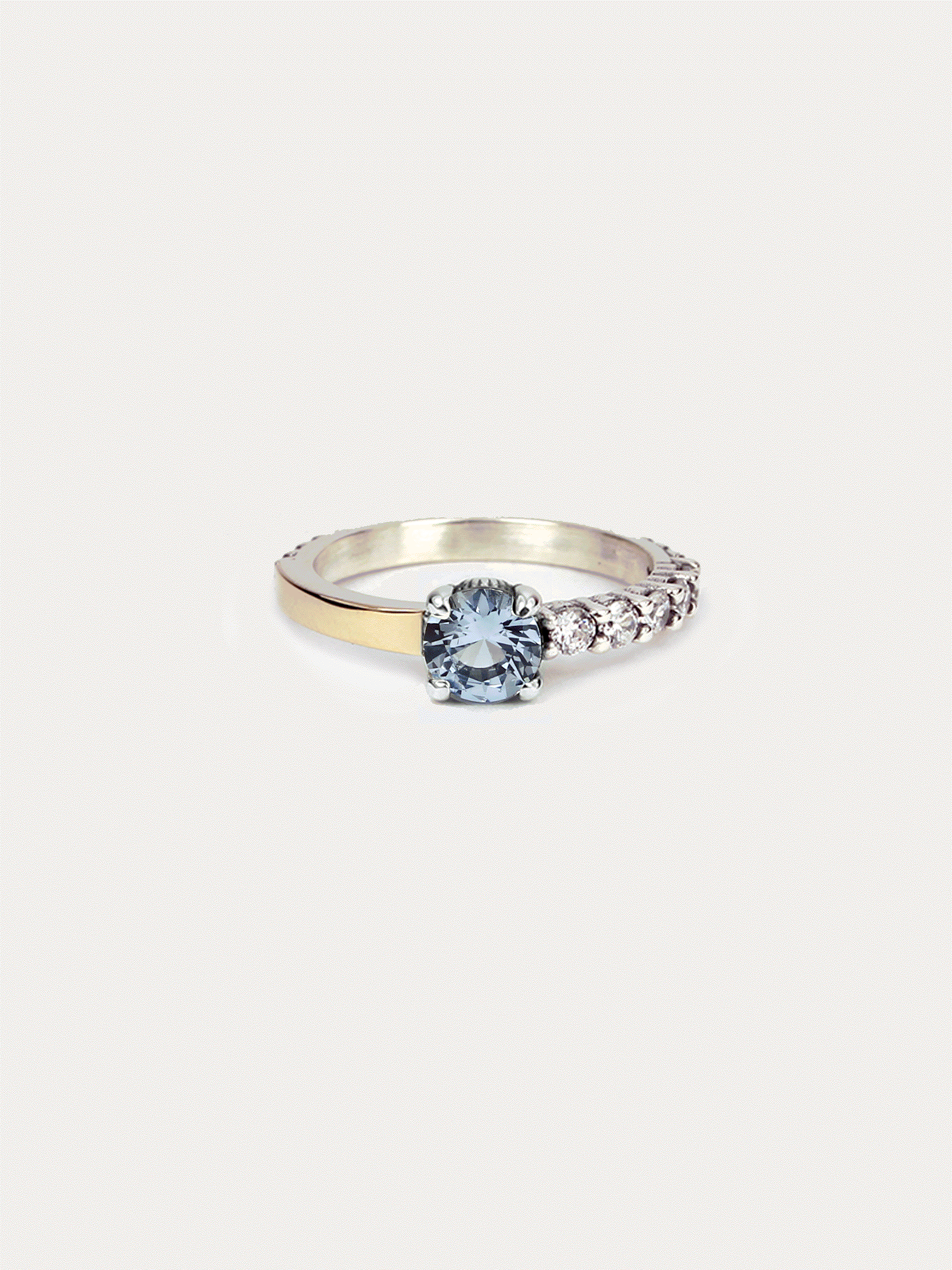 ANILLO ARTIE