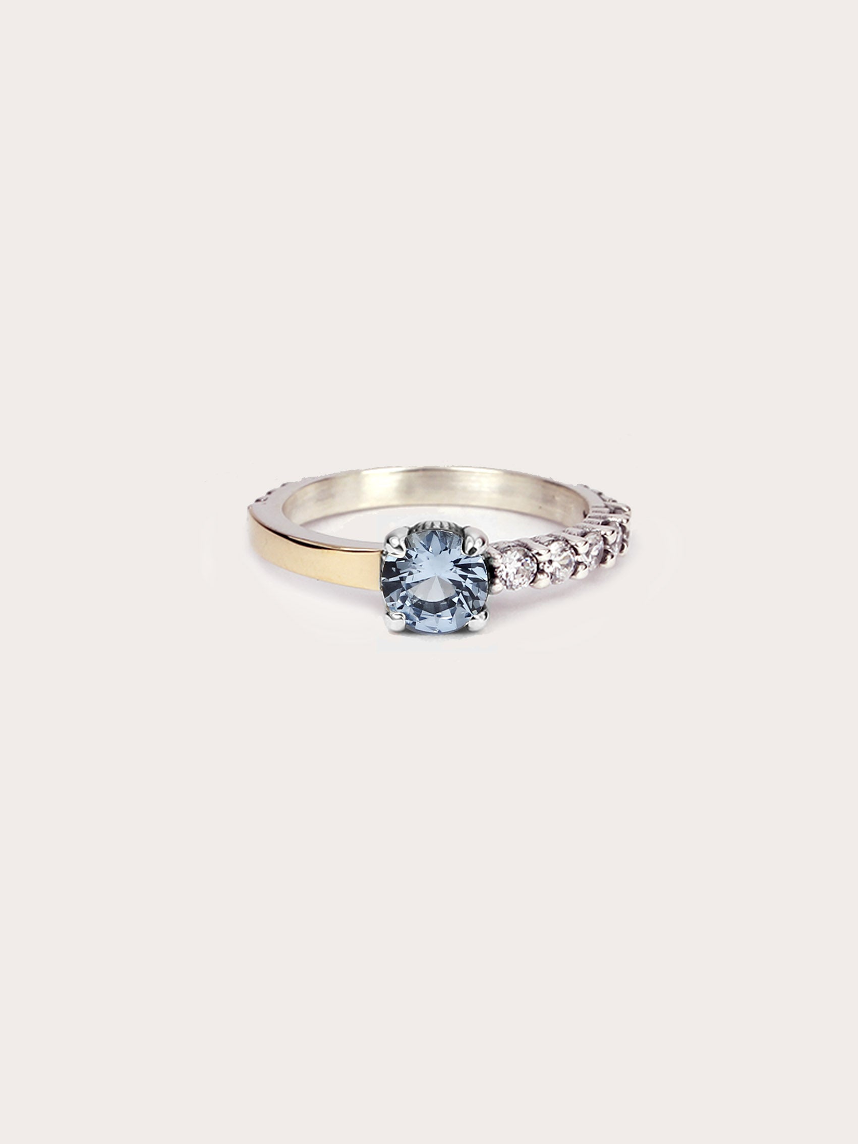 ANILLO ARTIE