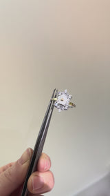 Anillo georgia nácar