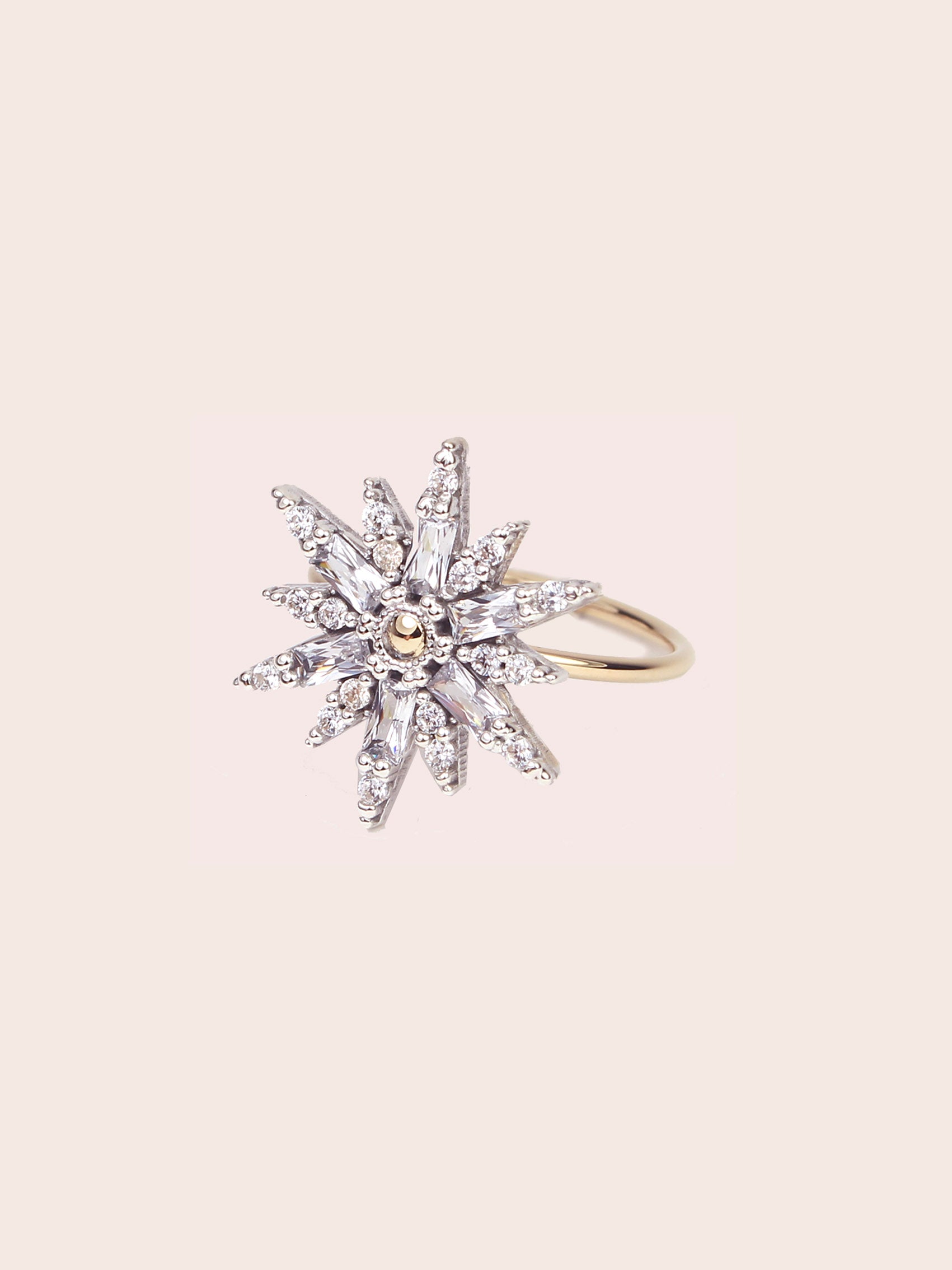ANILLO BENNU 38