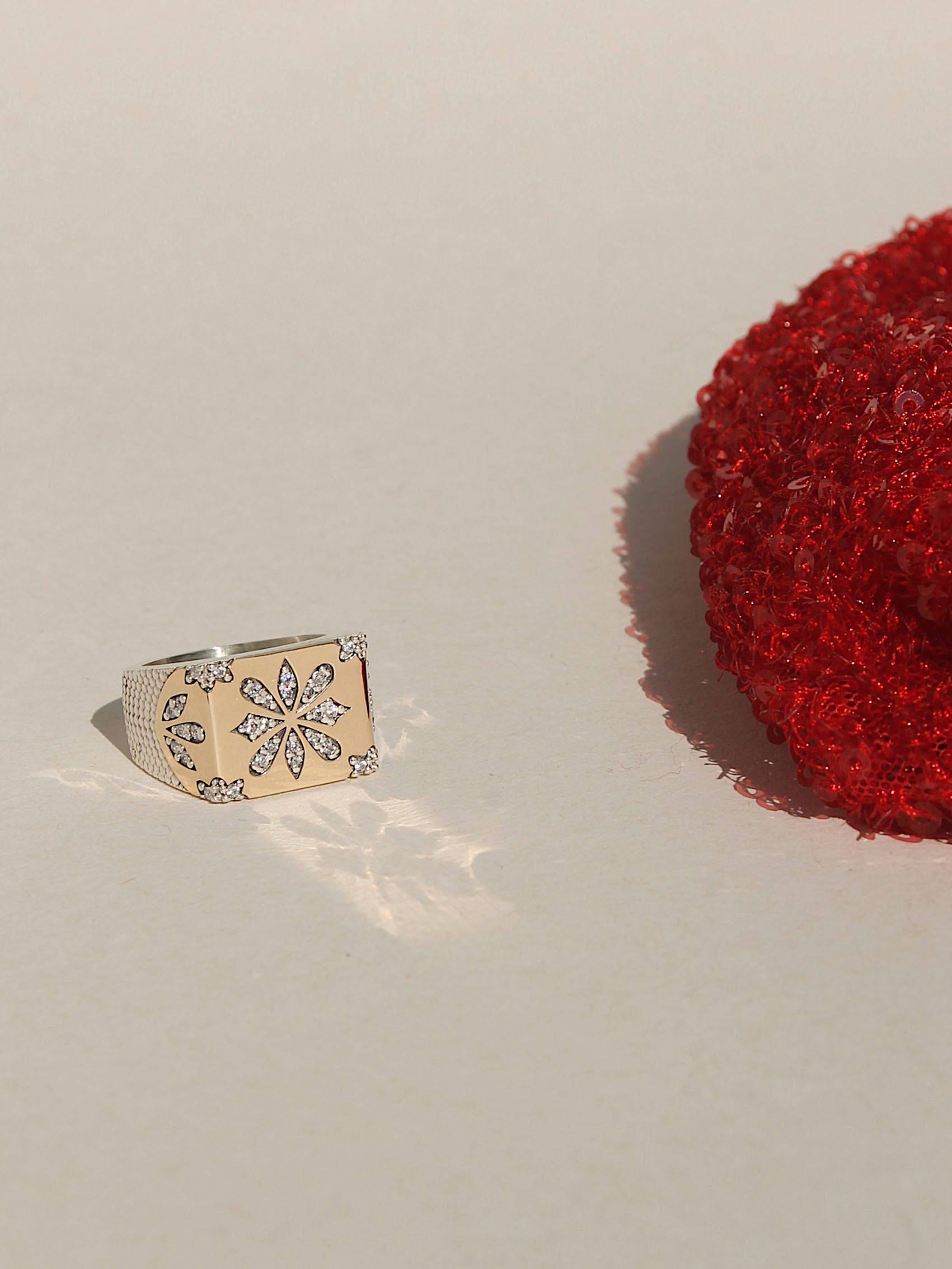 ANILLO BENNU 43