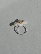 ANILLO khepri