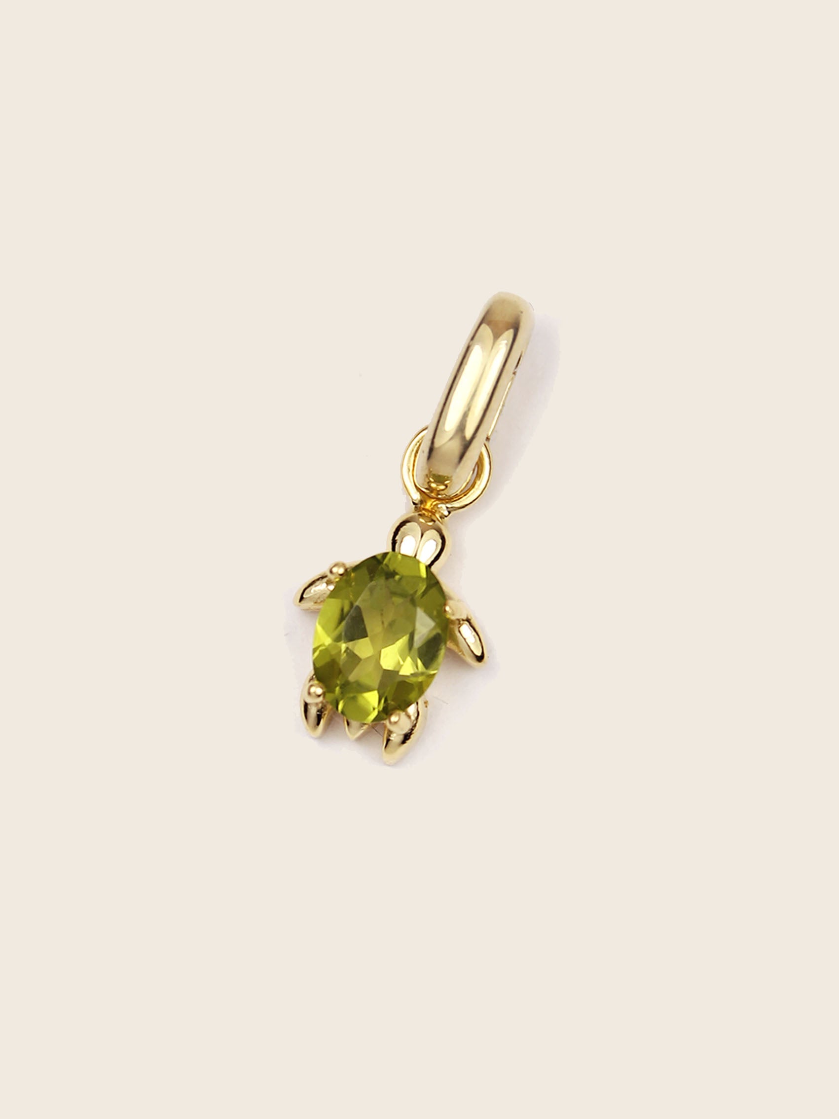 CHARM TORTUGA