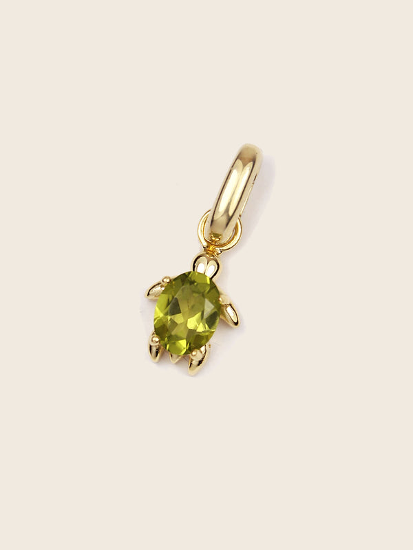 CHARM TORTUGA