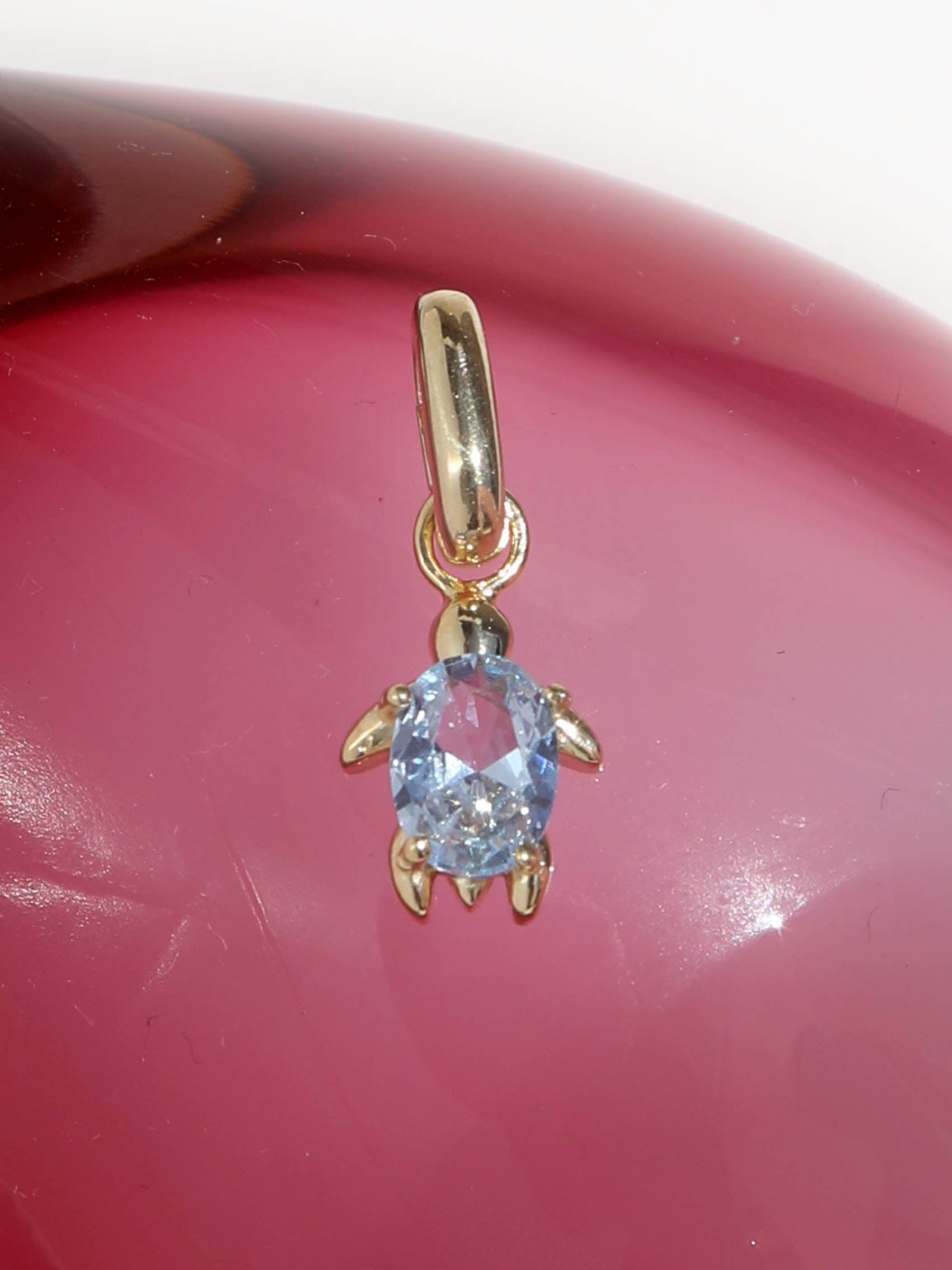 CHARM TORTUGA