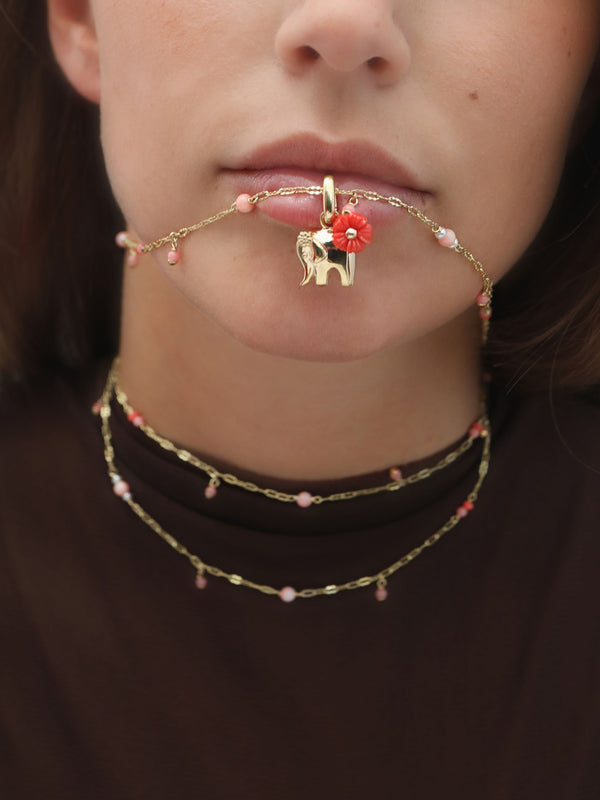 CHARM ELEFANTE CELEBES CORAL