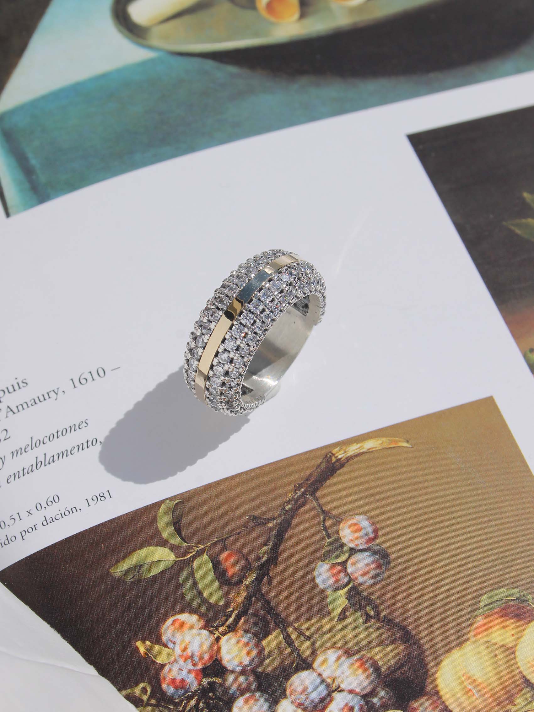 ANILLO CAM