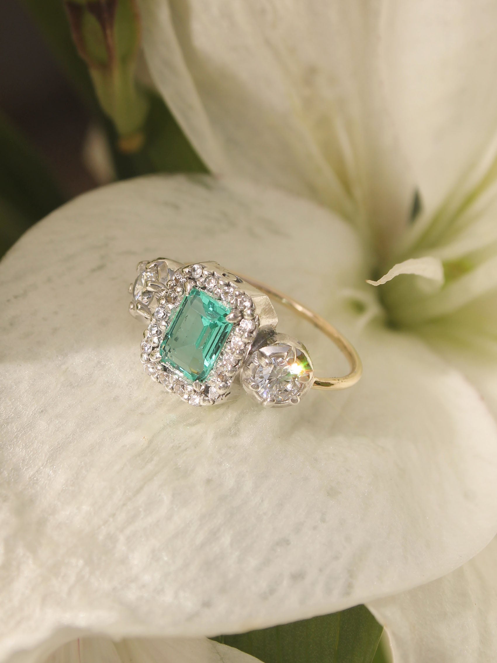 ANILLO MIMAS 08