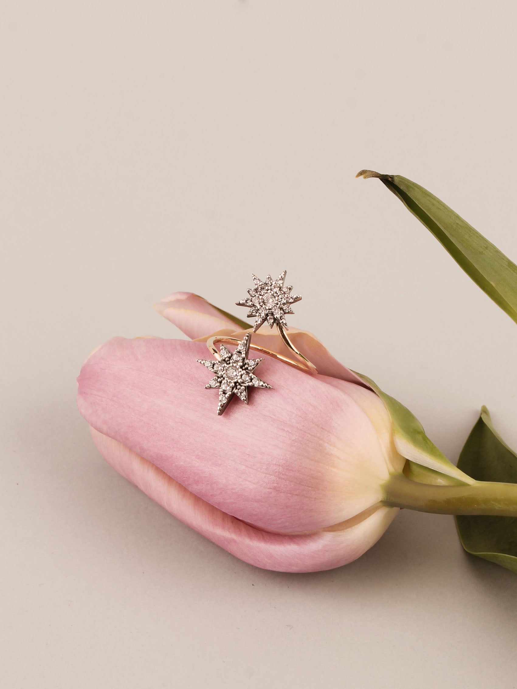 ANILLO HYADES 04