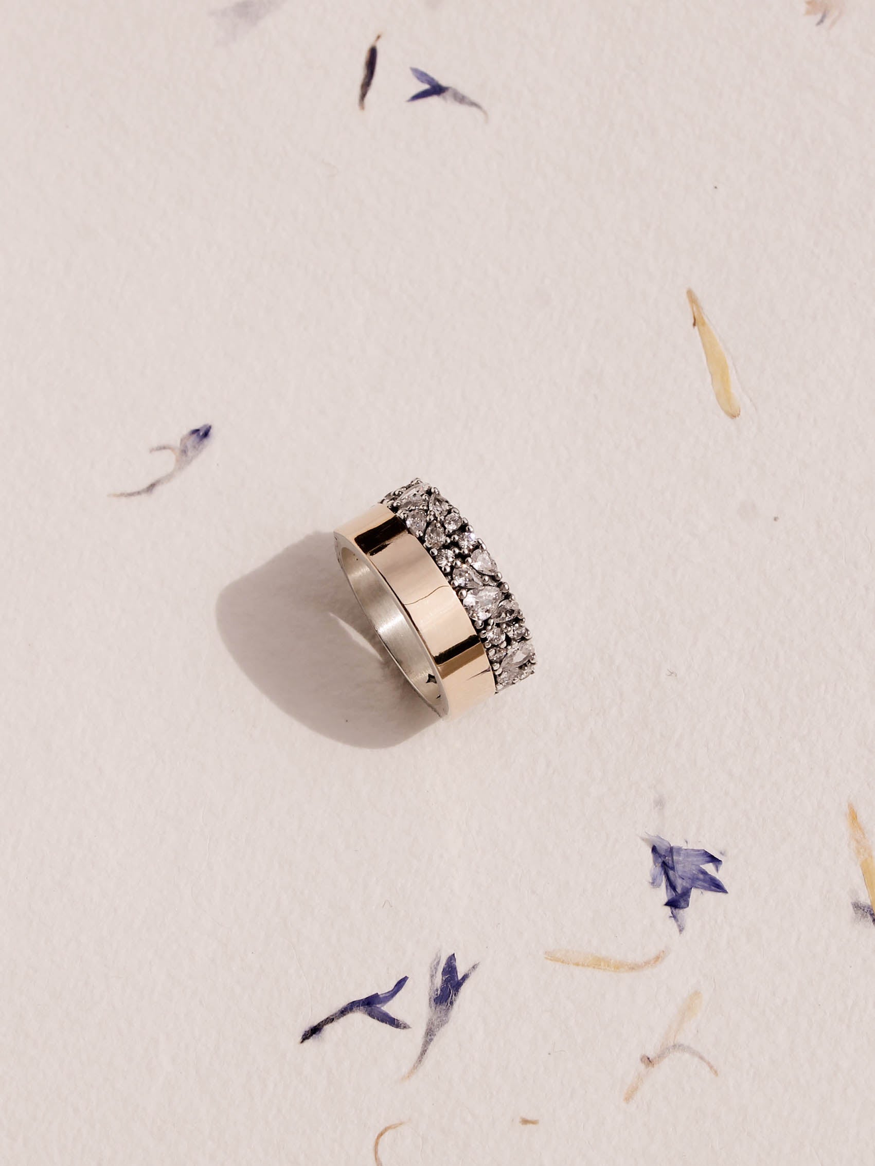 ANILLO HYADES 10