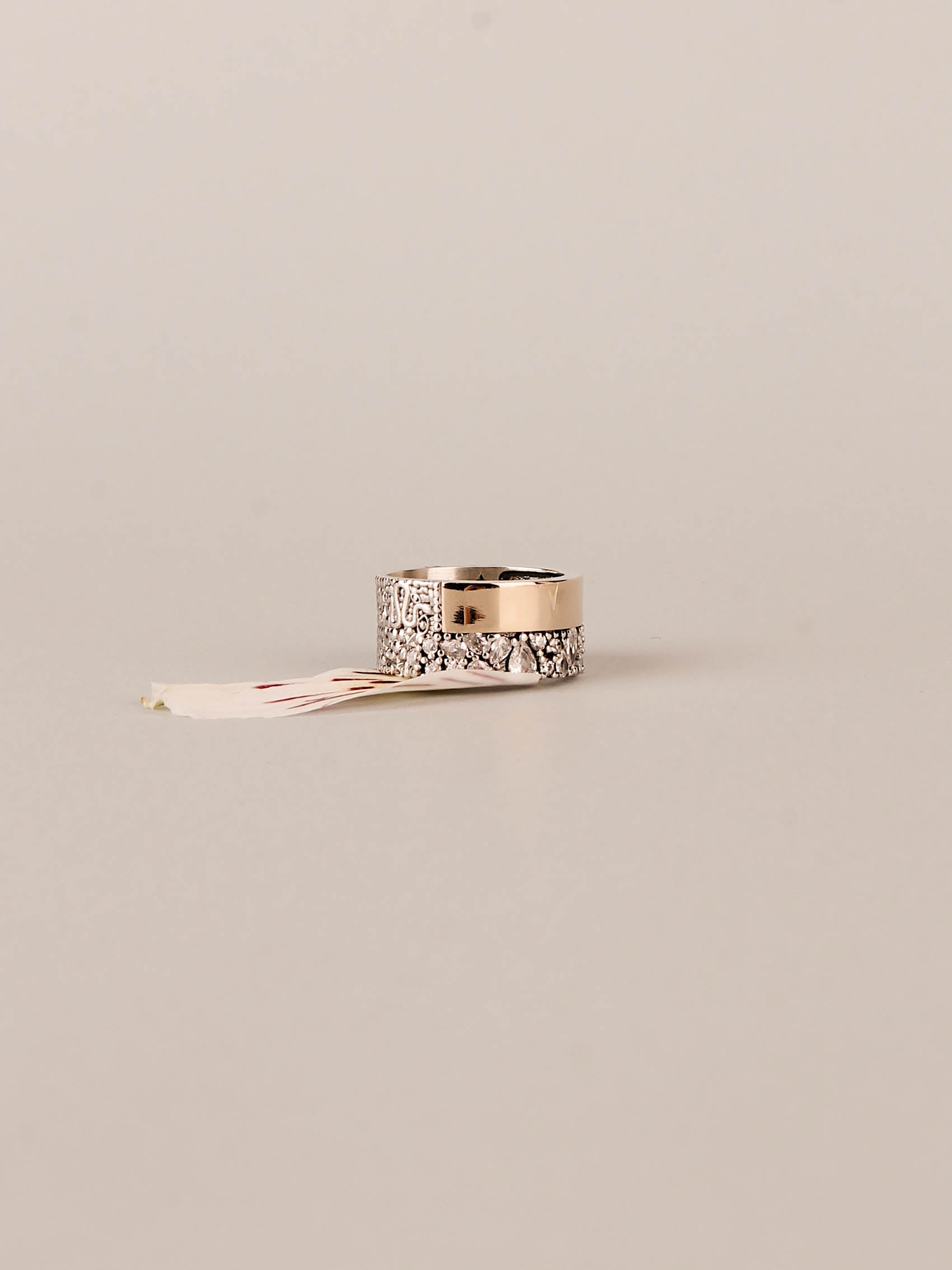 ANILLO HYADES 10
